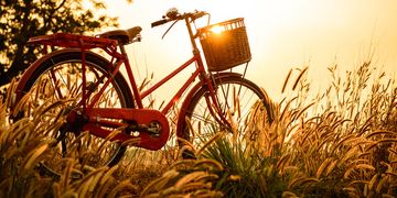 Frühlingsprognose: Nach Mildwinter Hitzefrühling?