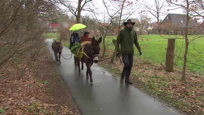 49-Jähriger aus Martfeld will Jakobsweg mit Eseln, Hund und Begleitung beschreiten