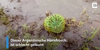 Wetter Eisheilige 2020 Lasst Uns Die Kalte Sophie Bibbern