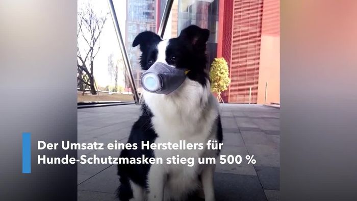 Gesichtsmasken für Hunde: Unternehmen kann sich vor Anfragen kaum retten