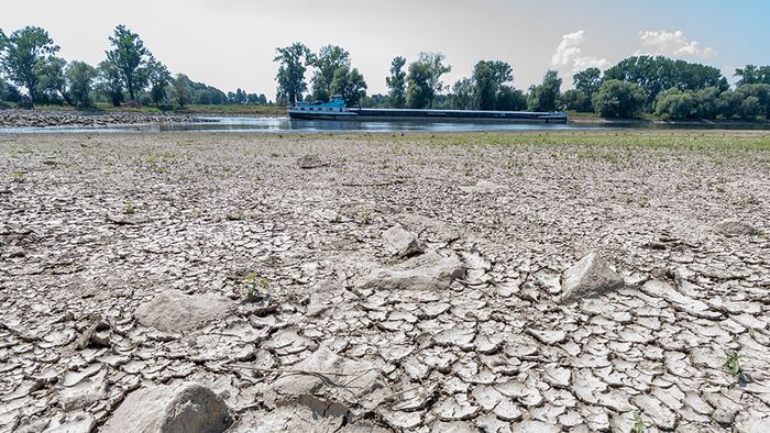 Mai-Prognose: Wie 2018? Neues Dürre-Drama droht