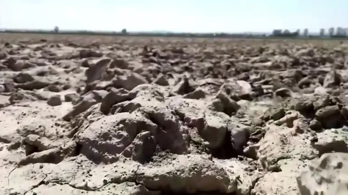 Angst vor Dürre: Landwirte fürchten erneute Katastrophe