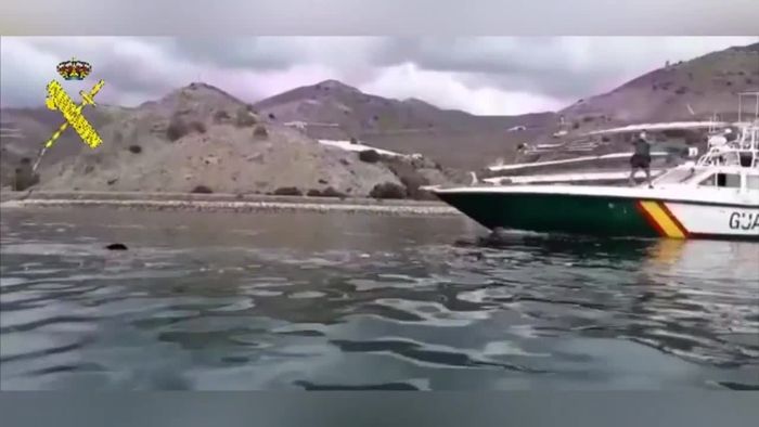 Vor spanischer Küste: Polizei sichtet Acht-Meter-Hai