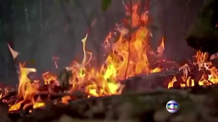 Amazonas-Brände nehmen wieder zu
