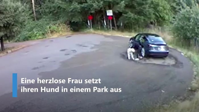Kaltblütig ausgesetzt: Frauchen lässt Hund im Park zurück