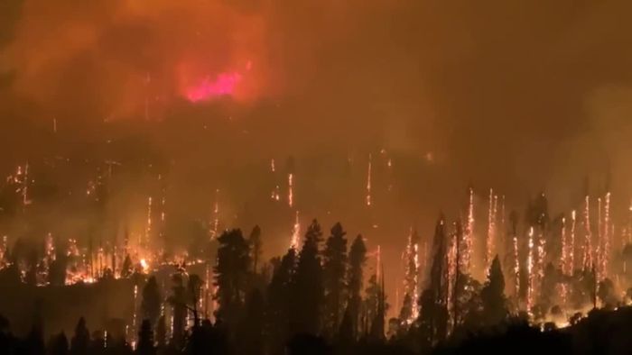 Waldbrand rasend schnell ausgebreitet - Camper gerade noch per Hubschrauber gerettet