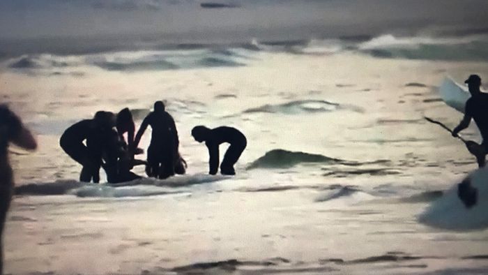 Erneut Surfer nach Hai-Attacke gestorben