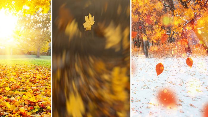 Oktoberprognose: Golden, stürmisch und auch weiß?