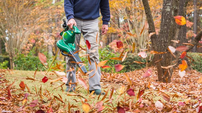 Gartenarbeit im Herbst: Das spricht gegen Laubbläser