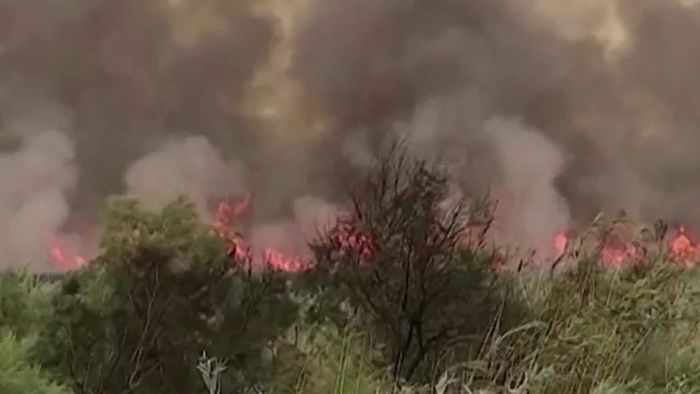 Naturschutzgebiet in Flammen! Mallorca brennt