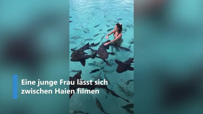 Selfie zwischen Haien: Junge Frau verliert die Nerven