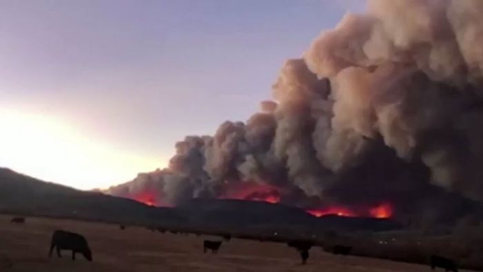 Heftige Waldbrände: Tausende Menschen auf der Flucht