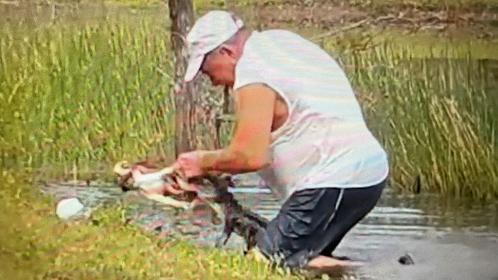 Alligator schnappt sich Hund: Besitzer wird zum Helden