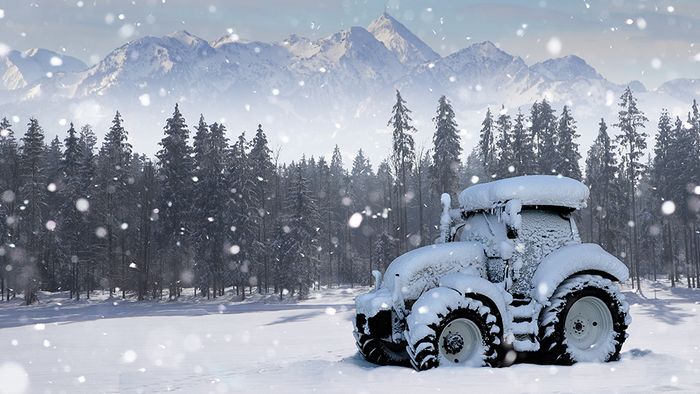 Zu weiße Weihnachten und dem Winter gibt es mehrere Bauernregeln.