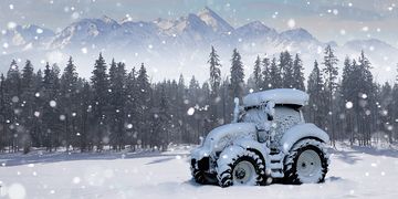 Zu weiße Weihnachten und dem Winter gibt es mehrere Bauernregeln.