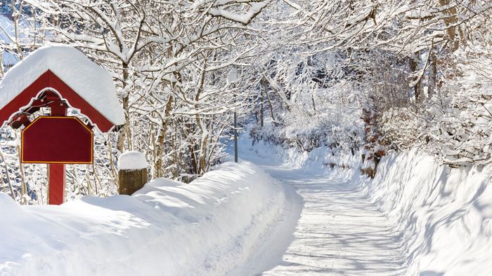 Januarprognose: Schneemassen wie 2019?