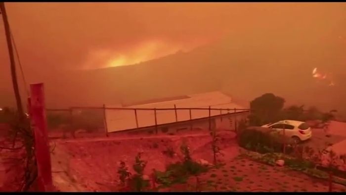 Grundstücke zerstört: Waldbrände wüten im chilenischen Valparaiso