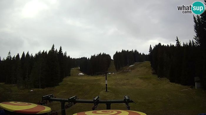 HD Live Webcam Rogla ski resort - Ostruščica