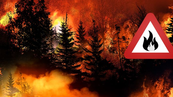 Die steigende Zahl an Waldbränden beeinflusst unser Klima.