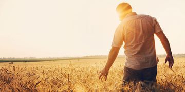 Welches Wetter prophezeien die Bauernregeln im Juni?