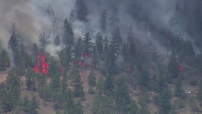 Hunderte Waldbrände in Kanada geraten außer Kontrolle