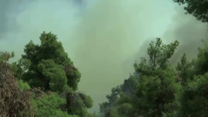 Waldbrände nahe Athen - Sorge vor erneutem Feuerinferno