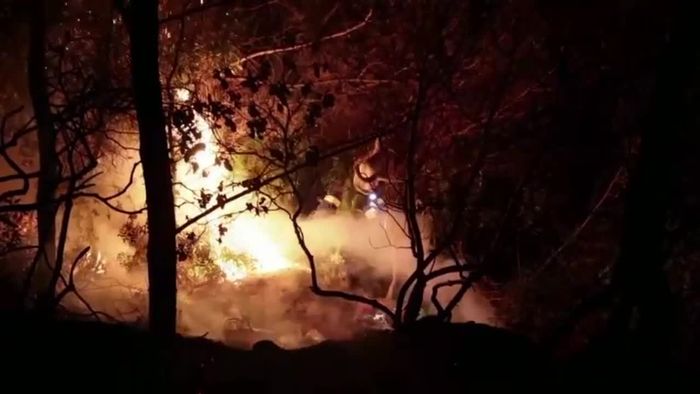 Griechische Feuerwehr kämpft gegen verheerenden Waldbrand