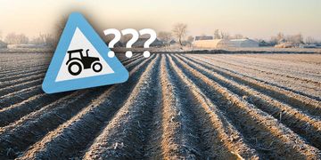 Viele Bauernregeln für den Oktober versprechen Prognosen für das anstehende Winterwetter.