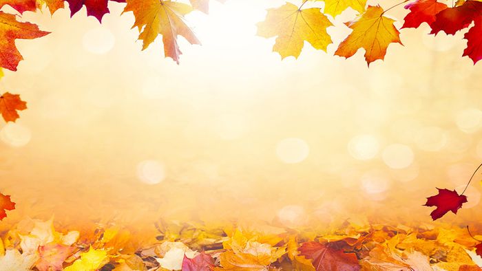Wetter 16 Tage: Chancen auf goldenen Oktober steigen