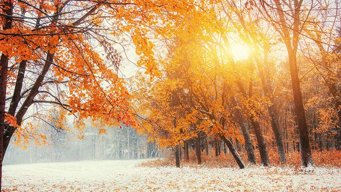 Erste November-Prognose: Schnee oder zu warmer Herbst?