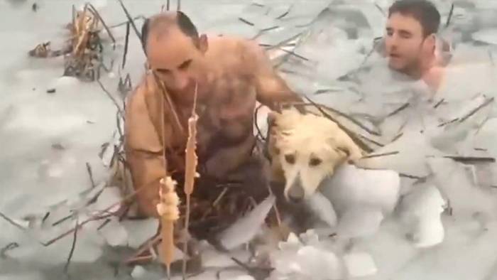 Halbnackte Polizisten retten Hund aus zugefrorenem See