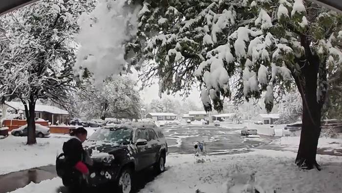 Schneesturm im Mai: Baum spielt Frau einen Streich