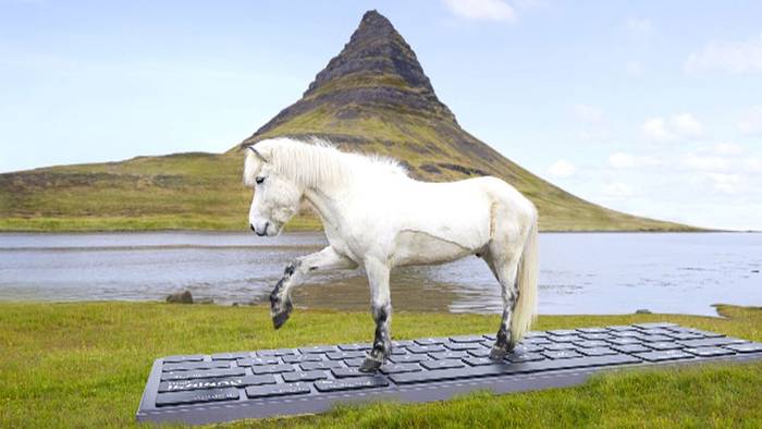 Entspannter Urlaub: Pferde beantworten auf Island Arbeits-E-Mails