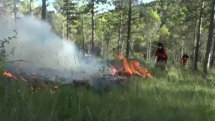 Spanien: Waldbrände wüten in Navarra