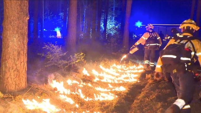 Wütende Waldbrände im Osten - Gegenfeuer hält Feuerwalze auf