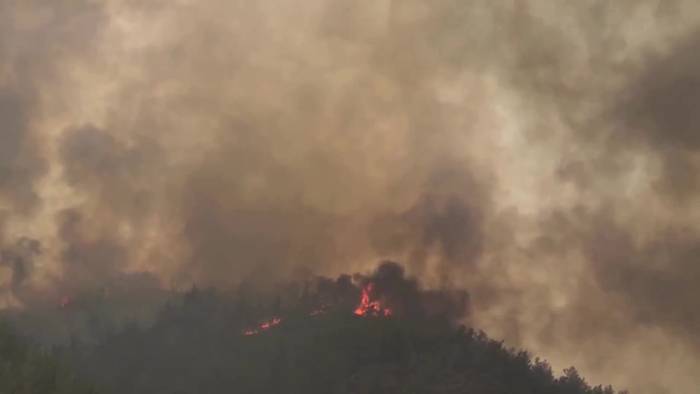 Feuerwehrleute kämpfen gegen Waldbrand in der Türkei