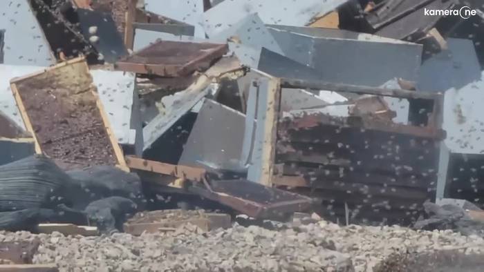 Lastwagen mit Bienenstöcken verunglückt: Millionen Bienen erschweren Aufräumarbeiten