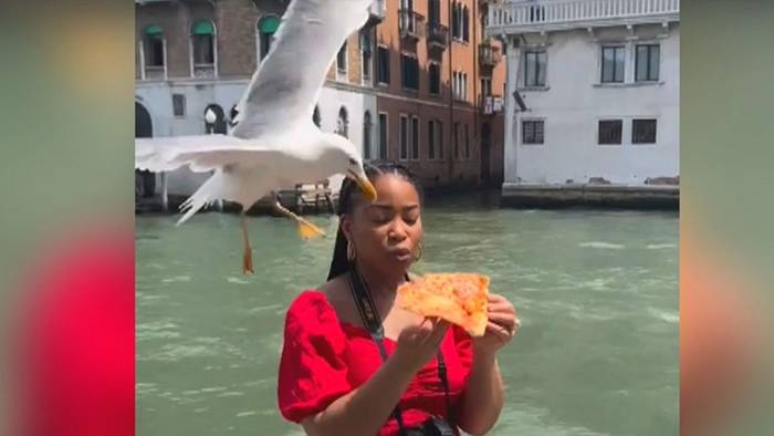 Touristin genießt Pizza in Venedig – doch Möwe attackiert sofort