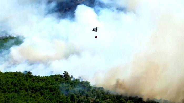 Evakuierung nötig: Großer Waldbrand wütet westlich von Athen