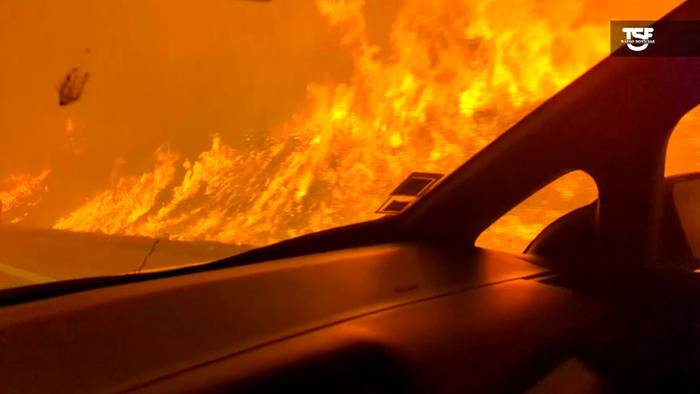 „Es ist sehr heiß hier": Reporter in Portugal fast in Feuer-Inferno eingeschlossen
