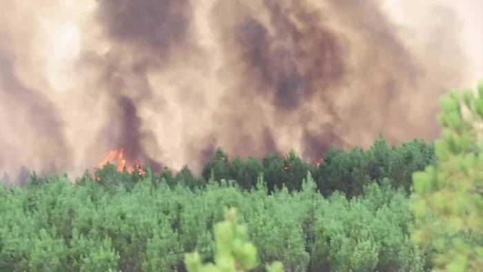 Südeuropa in Flammen: Waldbrände in Frankreich, Spanien, Portugal und Italien
