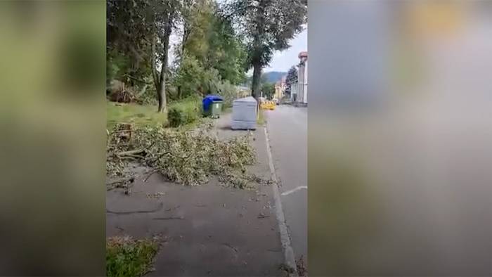 Tödliche Sturmböen in Österreich: Zwei Mädchen von Bäumen erschlagen