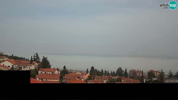 HD Live Webcam Live-Webcam Koper – Panoramablick auf Stadt und Hafen – Slowenien