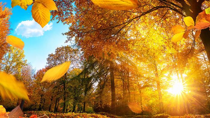 Wetter 16 Tage: Chancen auf Goldenen Oktober