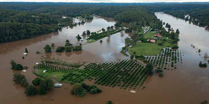 Rekord-Regen: Sydney Erlebt Nassestes Jahr In Der Geschichte | Wetter.com