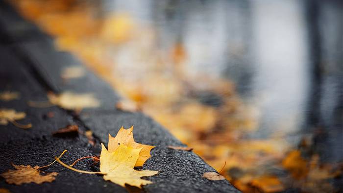 Wetter im Oktober und November: Geht es so golden weiter?