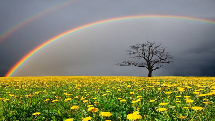 Wie entsteht ein Regenbogen und wann sieht man ihn am besten?