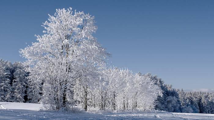 Wetter 16 Tage: Eiszeit um Nikolaus - Sibirienkälte kommt zu uns