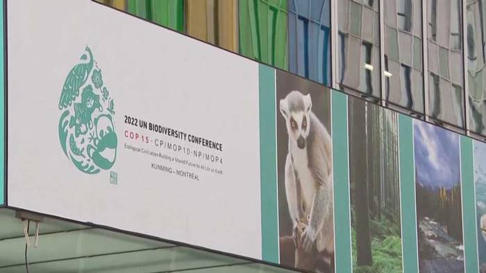 UNO-Umweltkonferenz startet in Montreal