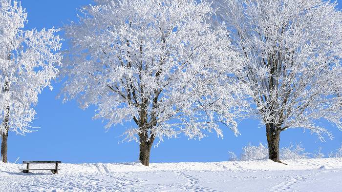 Wetter 16 Tage: Sichert Hochdruck eisigen Winter bis zum Februarbeginn?